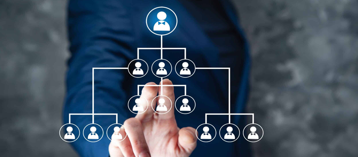 Business Structure Advisory